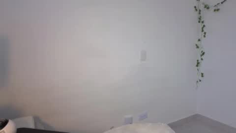 Steven  e online show from 11/13/25, 07:02