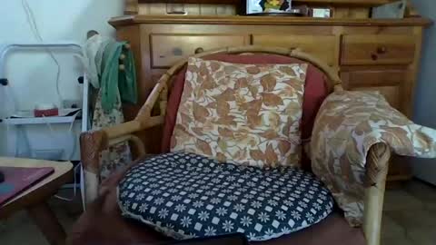 Guido online show from 07/14/26, 10:21