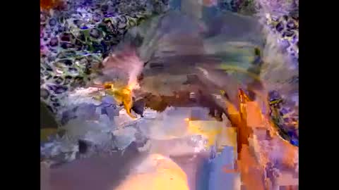MED online show from 03/08/26, 09:29