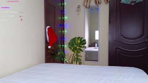 Snapshot of 2cbutterfly chatting on 12/30/24, 08:15 2cbutterfly online show from 12/30/24, 08:15