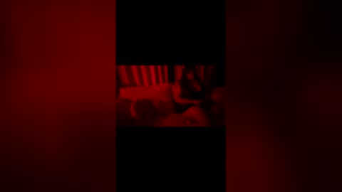 2littlefox online show from 06/07/26, 01:10