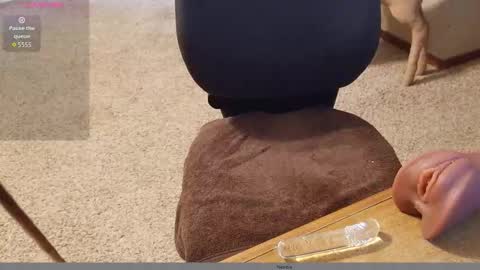 Snapshot of 2tiredoftoys chatting on 11/15/25, 11:32 2tiredoftoys online show from 11/15/25, 11:32