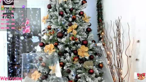 Ella online show from 12/24/24, 08:05