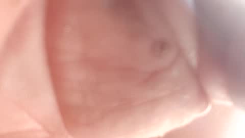 Snapshot of 3this88guy chatting on 02/12/25, 07:24 Thisguy online show from 02/12/25, 07:24