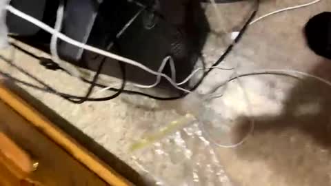 420bbwlover online show from 01/04/25, 03:17