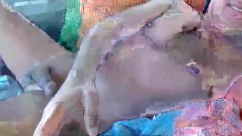 Snapshot of 56funleo chatting on 11/17/25, 10:59 Daddy online show from 11/17/25, 10:59