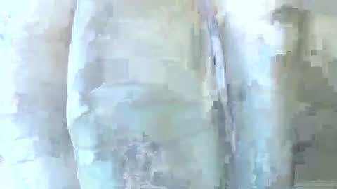 Snapshot of 56funleo chatting on 12/01/25, 06:24 Daddy online show from 12/01/25, 06:24