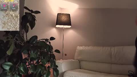 Sunshine online show from 07/20/26, 04:38
