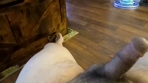 5tone_bon3 online show from 01/20/25, 07:04