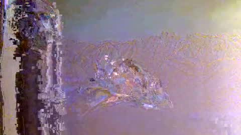 Snapshot of 60zeus60 chatting on 11/01/25, 06:15 Zeus online show from 11/01/25, 06:15