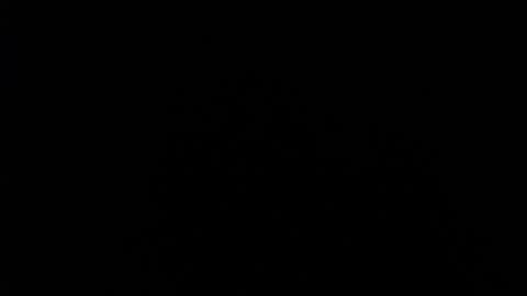 SHANNON online show from 12/11/24, 04:09