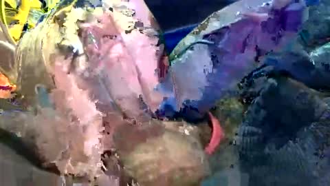 Snapshot of 6990fiko chatting on 10/27/25, 11:58 6990fiko online show from 10/27/25, 11:58