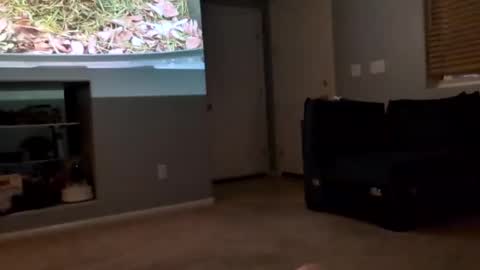 Snapshot of 69singledad79 chatting on 03/10/25, 04:17 69singledad79 online show from 03/10/25, 04:17