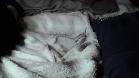 8675309r2d2 online show from 09/16/25, 09:10