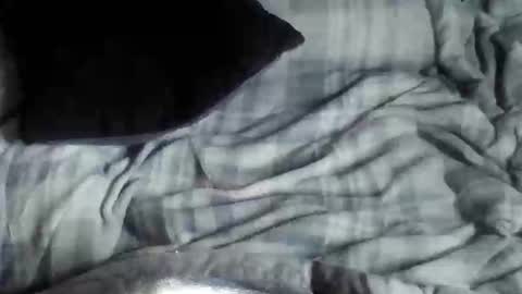 8675309r2d2 online show from 09/26/25, 03:54