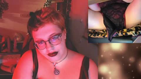 bandit online show from 07/23/26, 05:05