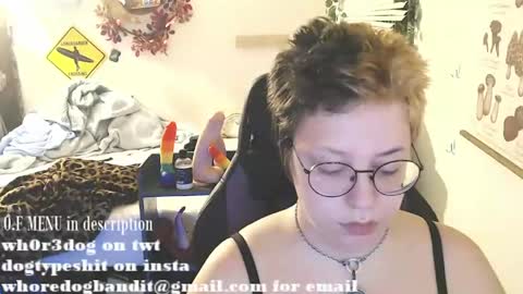 bandit online show from 07/28/26, 02:40