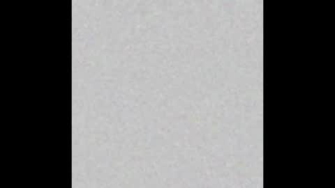 Brenda online show from 12/23/24, 12:19