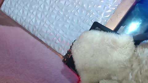 Snapshot of _caroline69 chatting on 01/19/25, 01:55 Caroline online show from 01/19/25, 01:55