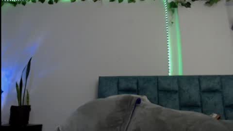 Dannia online show from 01/23/25, 07:51