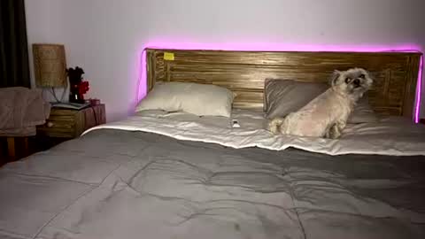 Snapshot of _elisavae chatting on 12/15/25, 08:07 elisa online show from 12/15/25, 08:07