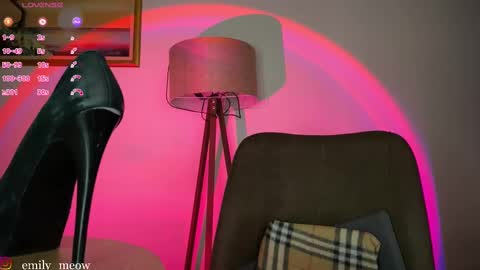 Snapshot of _emily__sweety_ chatting on 03/07/25, 02:34 Emily online show from 03/07/25, 02:34