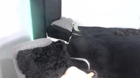 Proxy online show from 09/25/25, 02:15