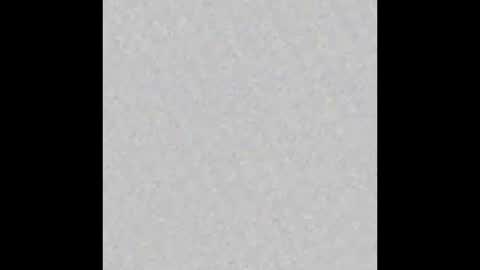 Miss Jade online show from 12/28/24, 11:09