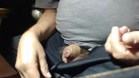 _jimmini online show from 11/01/25, 05:04