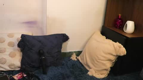 Lucy online show from 07/02/26, 03:23