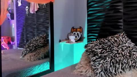 _lustyles_ online show from 10/31/25, 04:02