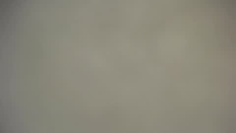 Nica online show from 11/25/25, 09:09