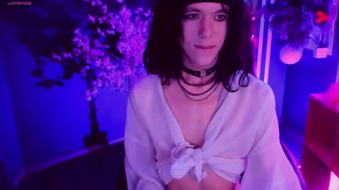 Shin online show from 06/05/26, 06:52