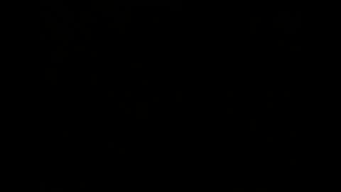 Melisa online show from 12/02/24, 02:41
