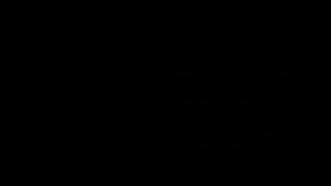 Melisa online show from 01/04/25, 10:05