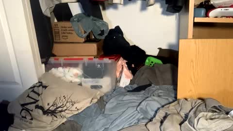 Matt snap - mattdillon1995 online show from 09/18/25, 05:42