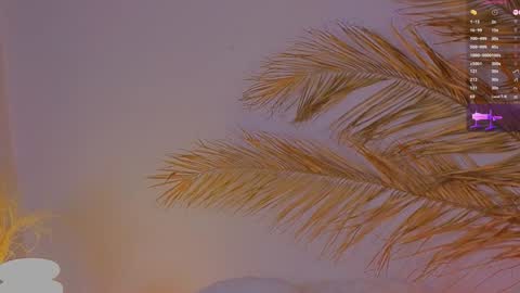Ally online show from 12/15/24, 04:04