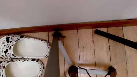 Abby online show from 09/21/25, 03:52