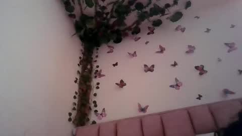 abby_moss_2 online show from 06/12/26, 12:48