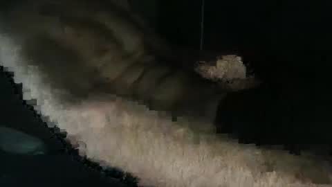 Snapshot of acid_lab chatting on 12/16/24, 02:27 acid_lab online show from 12/16/24, 02:27