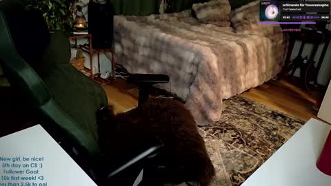 Adalina Rae online show from 01/05/25, 06:24