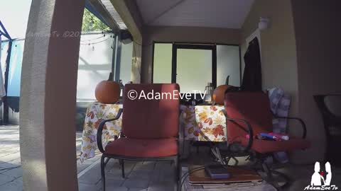 Snapshot of adamevetv chatting on 11/01/25, 08:33 Adam And Eve online show from 11/01/25, 08:33