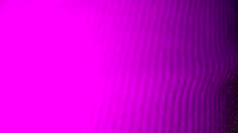 Snapshot of adamllamas chatting on 09/15/25, 04:56 adamllamas online show from 09/15/25, 04:56