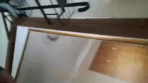 adamlucas54321s773712 online show from 10/08/25, 01:36