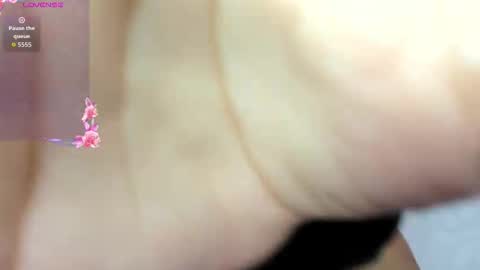 Snapshot of adams_niki chatting on 11/03/25, 12:39 ADAMS Y NIKI online show from 11/03/25, 12:39