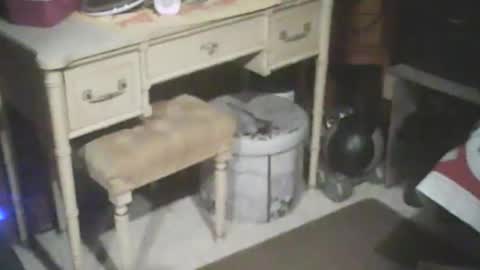 Snapshot of adamsny chatting on 01/15/25, 08:30 adamsny online show from 01/15/25, 08:30