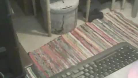 Snapshot of adamsny chatting on 11/09/25, 06:55 adamsny online show from 11/09/25, 06:55