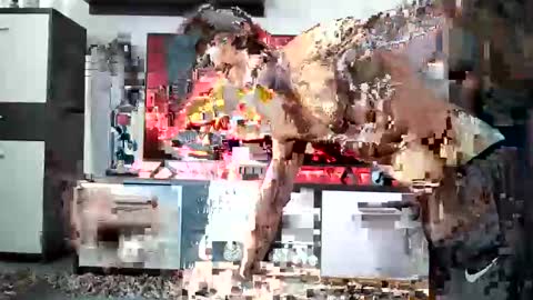 Adriano online show from 12/28/24, 08:58