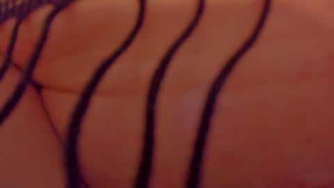 adriiana_fox_ online show from 07/28/26, 06:20