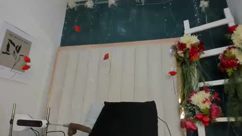 Africa  online show from 05/05/26, 02:19